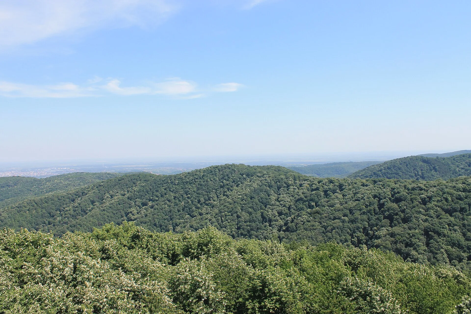 Fruška Gora National Park